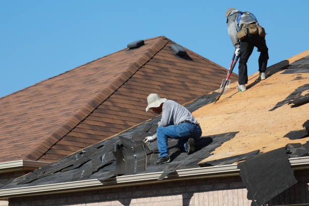 Fast & Reliable Emergency Roof Repairs in Clemson University, SC