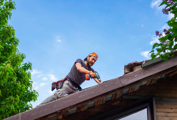 Reliable Clemson University, SC  Roofing repair and installation Solutions